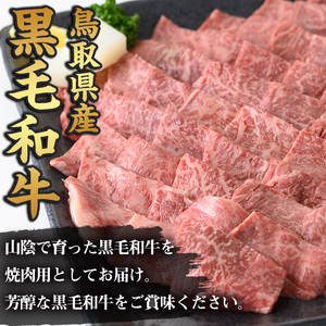 鳥取黒毛和牛もも焼肉用(計760g)国産 鳥取県産 もも 牛肉 お肉 肉 牛脂 冷凍 オリジナル調味塩 お取り寄せ ギフト プレゼント 誕生日プレゼント お祝い【sm-AP008】【いろは精肉本店】