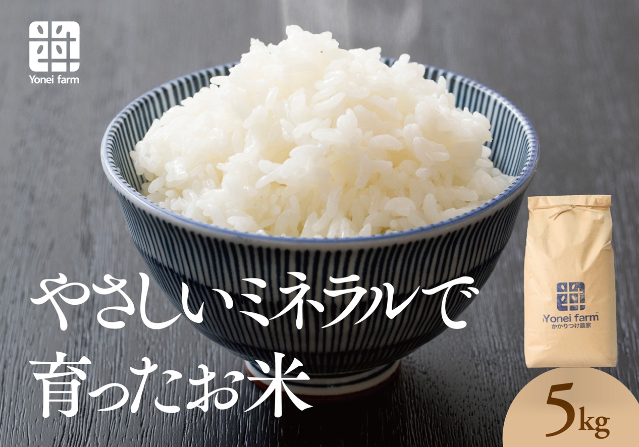 
            おいしいお米(5kg)無洗米　リピーター続出【1647875】
          