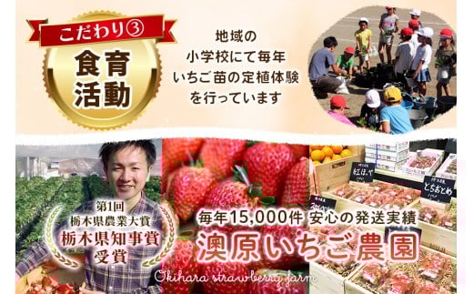 いちごの贅沢！栃木の3品種食べ比べセット 1,920g (960g×2) 《12月中旬～4月の期間で発送》 澳原いちご農園 | いちご 苺 イチゴ フルーツ 果物 産地直送 栃木県産 【12～4月の期