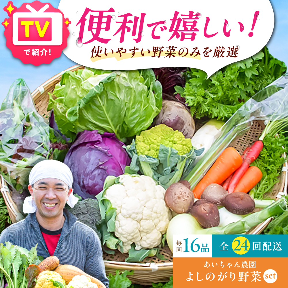 【16品 / 24回定期便】あいちゃん農園の「よしのがり野菜」セット（ラージ） [FAA011]