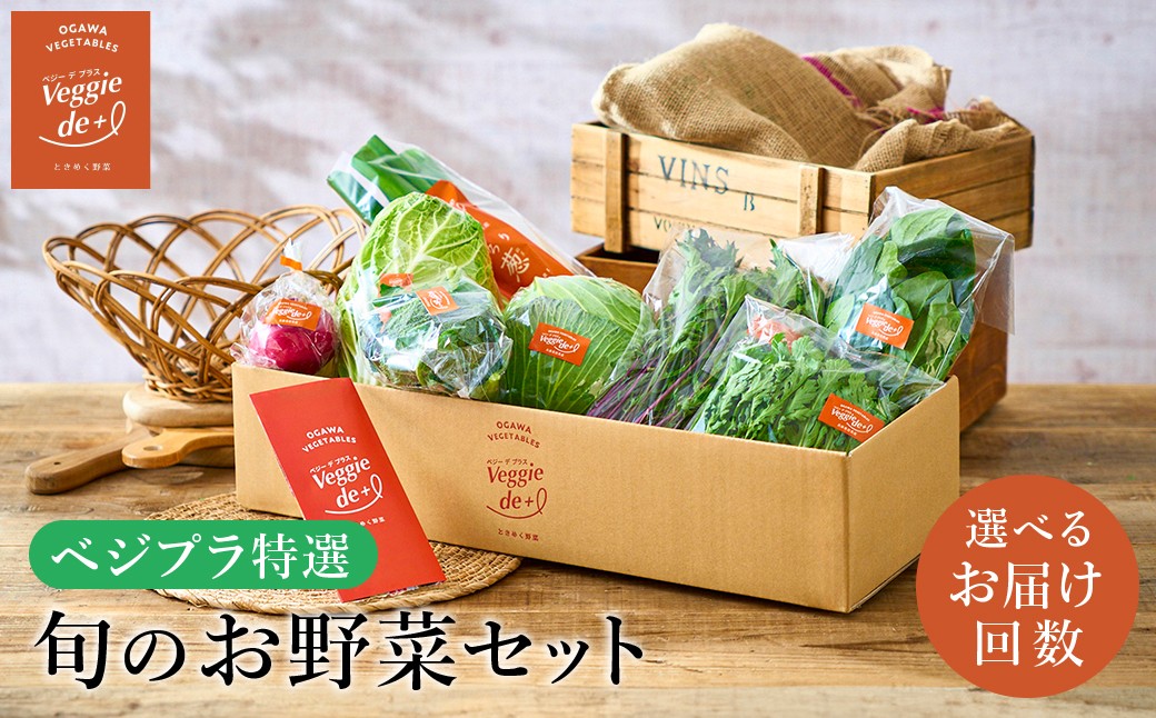 
                  旬の新鮮なお野菜を産地直送！ベジプラ特選 旬の野菜セット 【選べる定期便1回・4回・12回】 / 野菜 詰め合わせ セット 野菜セット やさい 苦みが少ない 甘い【野菜例：キャベツ 水菜 ミニトマト レタス とろり葱 ほうれん草 etc】 Veggie de＋
                