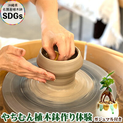 【ふるさと納税】やちむん植木鉢作り体験　ガジュマル付き【SDGs】 やちむん 焼き物 陶芸 ガジュマル 植木鉢 体験 伝統 工芸 植物 鑑賞用 観葉植物 インテリア 初心者 ふるさと納税 おきなわ 沖縄 オキナワ 名護 ナゴ 国産