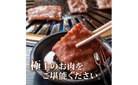 【定期便4回】土佐 黒毛 和牛 和牛定期便 焼肉用 計2kg（500g×4ヶ月)  | たけうちミート定期便4Nコース リブロース ロース 最上位等級 A4 A5  焼き肉 やきにく 小分け 冷凍 国