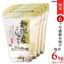 【ふるさと納税】令和6年 新米 米 定期便 6kg 2kg×3袋 6ヶ月 新潟こしひかり 白米 K66【6ヶ月連続お届け】新潟県産コシヒカリ6kg（2kg×3袋）