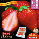 【ふるさと納税】【2回定期便】博多あまおう　広川町 / JAふくおか八女農産物直売所どろや[AFAB018]