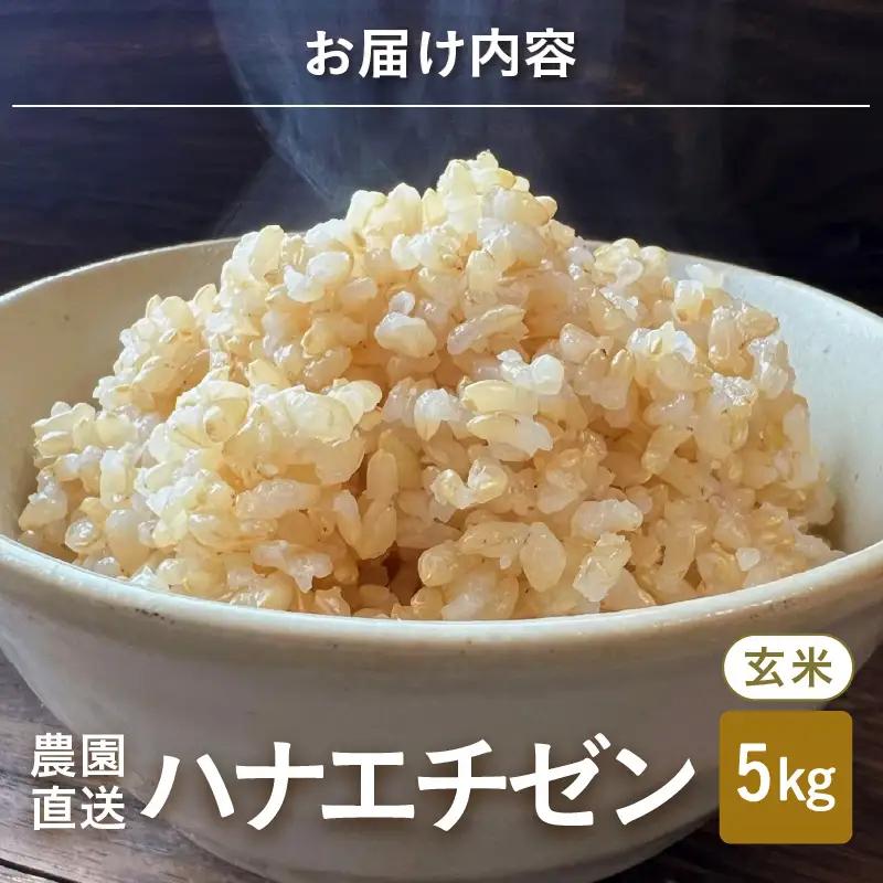 【先行予約】【令和8年産・新米】 ハナエチゼン5kg × 1袋 ～本原農園からまごころコメて～（玄米）【2026年9月上旬以降順次発送予定】 [A-8984_02]