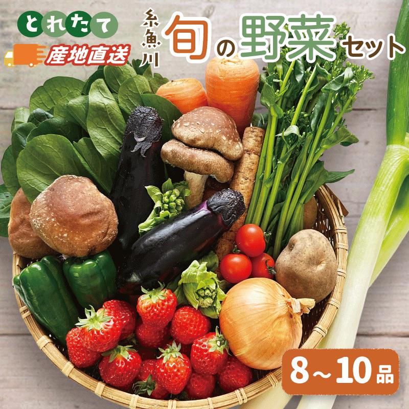 【ふるさと納税】旬の野菜セットを直売所からお届け! (8～10品詰め合わせ) 大根・白菜・春菊・アスパラ菜・しいたけ・ほうれん草・ふきのとう・タラの芽・山菜・にんじん・イチゴ・トマト・きゅうり・ピーマン・ジャガイモ・玉ねぎ・枝豆・生きくらげ・長ネギ・里芋