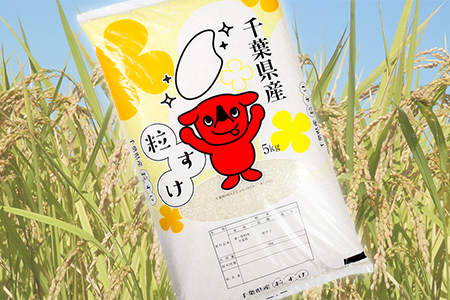 令和7年 千葉富津産「粒すけ」10kg（5kg×2袋） 精米　かじや米店