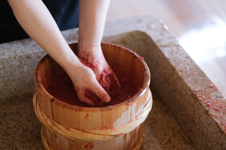 烏梅紅花染め体験 タペストリーコース 84-004