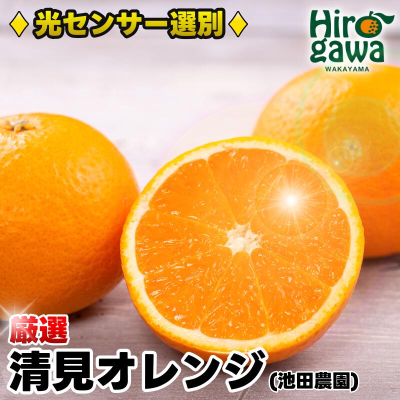 厳選清見オレンジ【光センサー食頃出荷】【樹上完熟きよみオレンジ・清見タンゴール・清美】 ※2024年2月上旬〜4月上旬頃に順次発送予定 ※北海道・沖縄・離島への配送不可 //dekopon