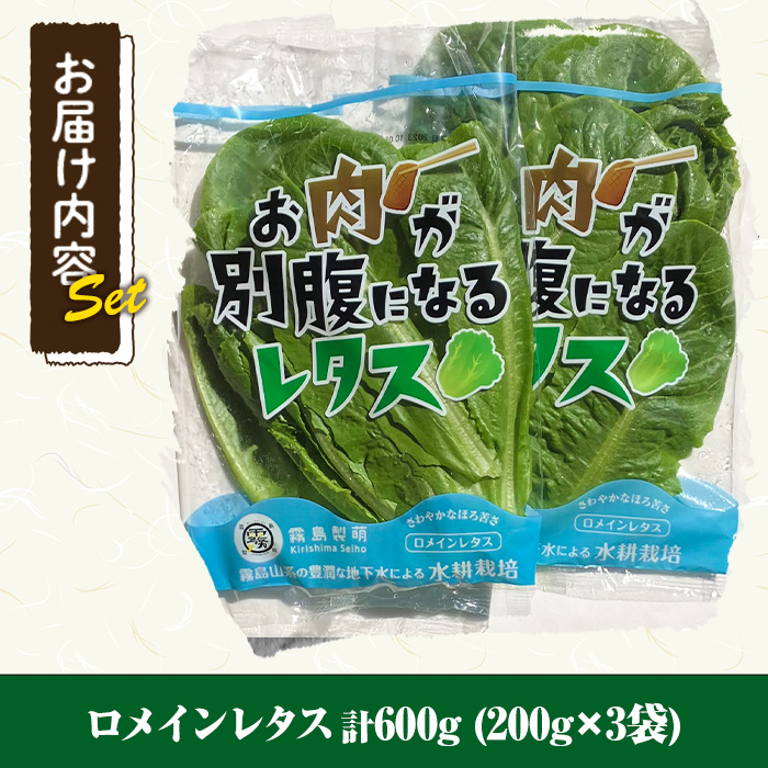 y470 お肉が別腹になるレタス 計600g (200g×3袋) 国産 九州産 鹿児島県産 湧水町産 野菜 やさい レタス ロメインレタス 焼肉 焼き肉 バーベキュー BBQ 冷しゃぶ サラダ 水耕栽