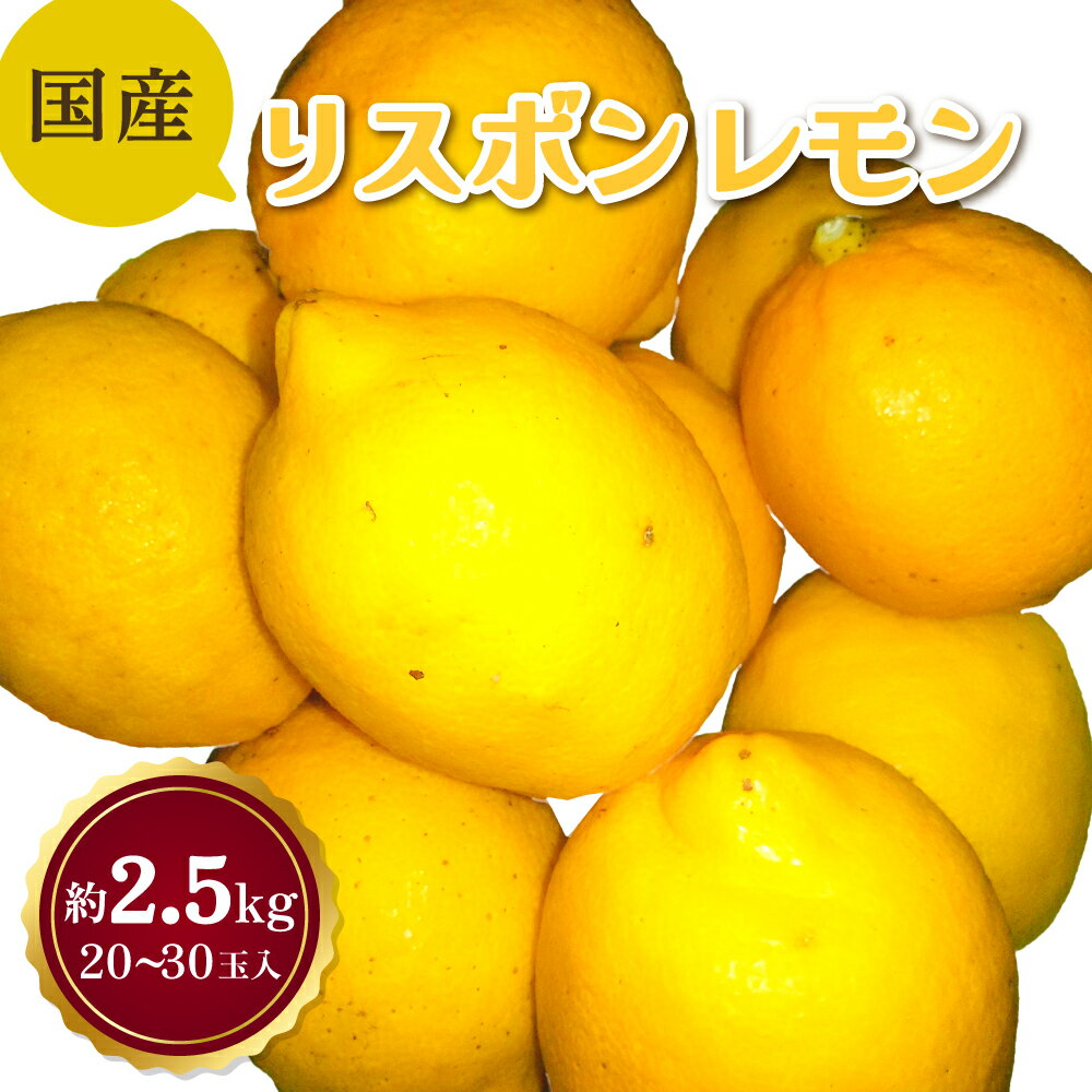 【ふるさと納税】 国産 リスボン レモン 約2.5kg 20〜30玉 吉田レモニー 【2024年11月上旬〜2025年7月上旬発送】