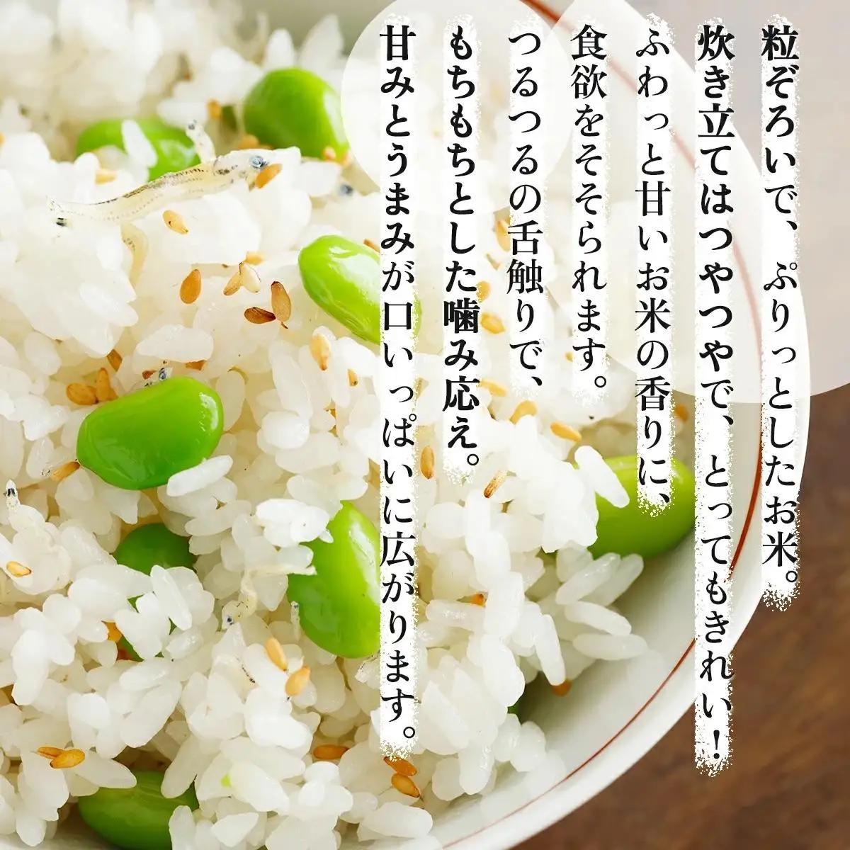 《令和 7 年産》お米 ゆめぴりか 10kg｜『100%自家生産精 米』善生さんの自慢の米 ※一括発送 北海道 岩見沢市 a104-117