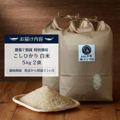 ふるさと納税 焼津市 新米　令和7年産 目減り 特別栽培 コシヒカリ 白米10kg(5kg×2袋)(a40-106) |  | 03