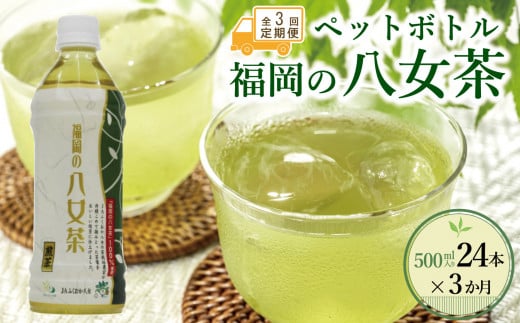 【全3回毎月定期便】八女茶 煎茶ペットボトル 500ml×24本　