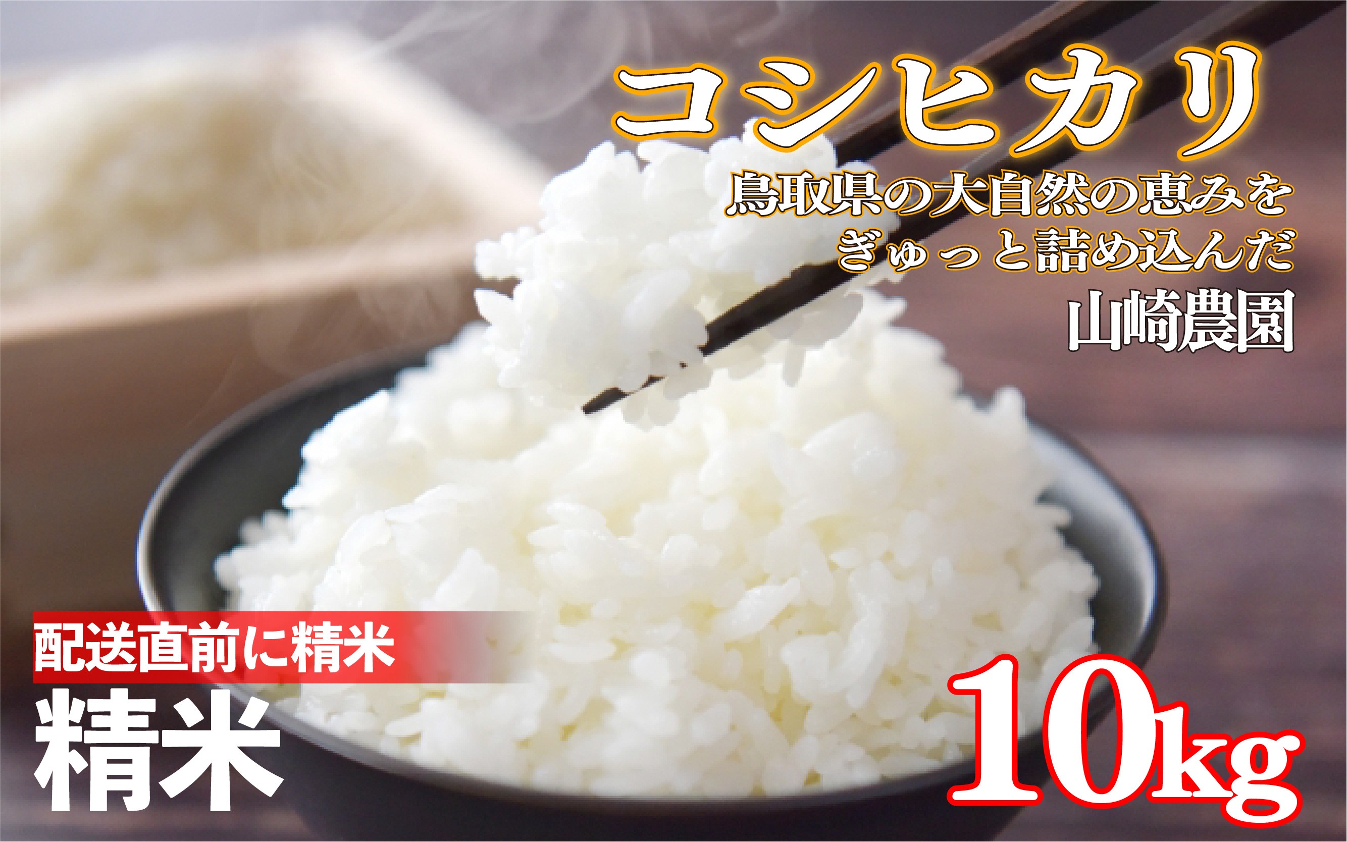
                  令和7年産 山崎さんのこしひかり精米10㎏｜鳥取県産 令和7年 2025年産 お米 コシヒカリ 精米 山崎農園 やまのおかげ屋【31041】
                