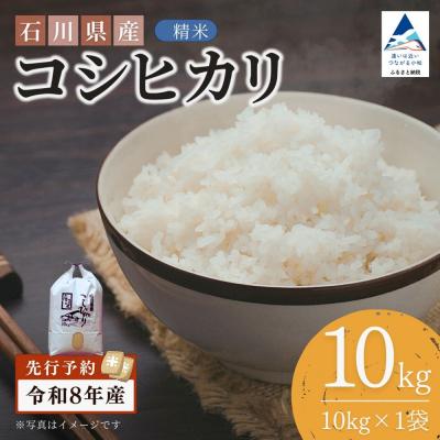 ふるさと納税 小松市 【先行予約】令和8年産 石川県産コシヒカリ 精米 10kg(10kg×1袋) 白米 こしひかり