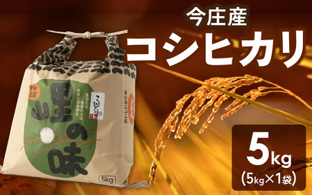 【令和７年産】朝夕の寒暖差が生む極旨のお米 今庄産 コシヒカリ 5kg こしひかり