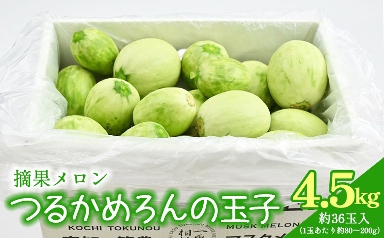 
            メロン つるかめろんの玉子(摘果メロン) 4.5kg 約36玉 - マスクメロン めろん フルーツ くだもの 果物 おやつ おつまみ アレンジ 料理 お漬物 お漬け物 炒め物 天ぷら 子メロン 小さい 産地直送 篤農 tn-0016
          