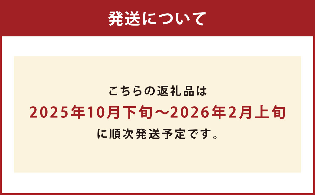 みかん 【規格外品】ご家庭用 約6kg サイズ不選別