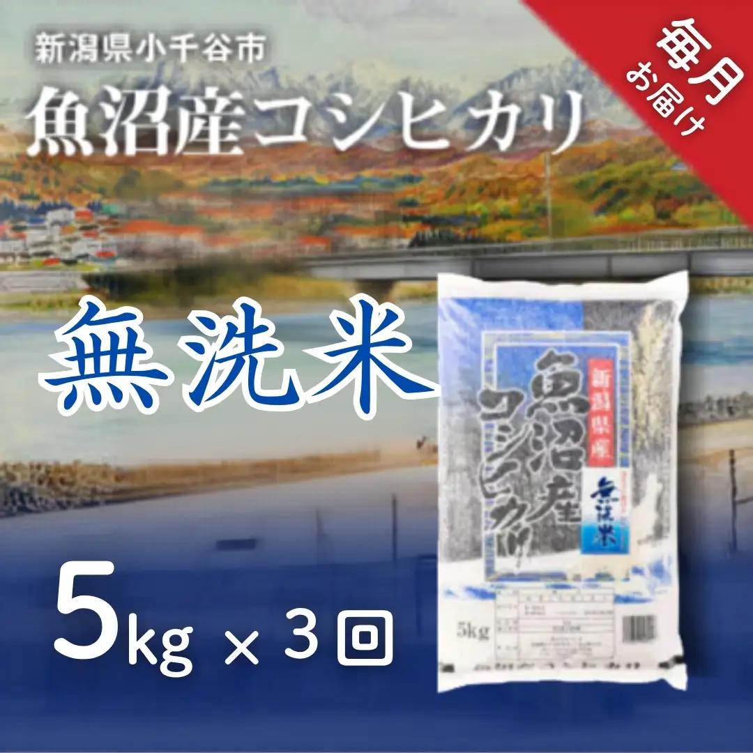 魚沼産コシヒカリ 無洗米 15kg 新潟県 | 5キロ×3回 毎月 定期便 無洗