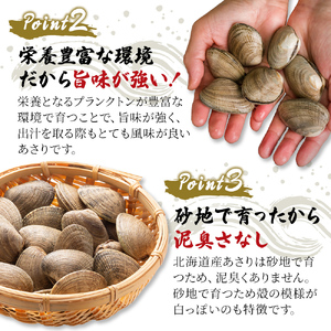 12ヵ月 定期便 ボイル 冷凍 あさり 720g (180g×4パック) 砂抜き済 あさり