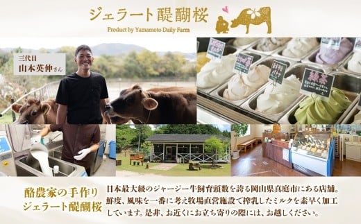 【ジェラート醍醐桜】恋するジャージーPremium焼きかぼちゃ6個セット / 岡山 真庭 醍醐桜 極上スイーツ 濃厚 プレゼント 贈答 デザート ギフト ジャージー牛 ミルク ジェラート おやつ カボ