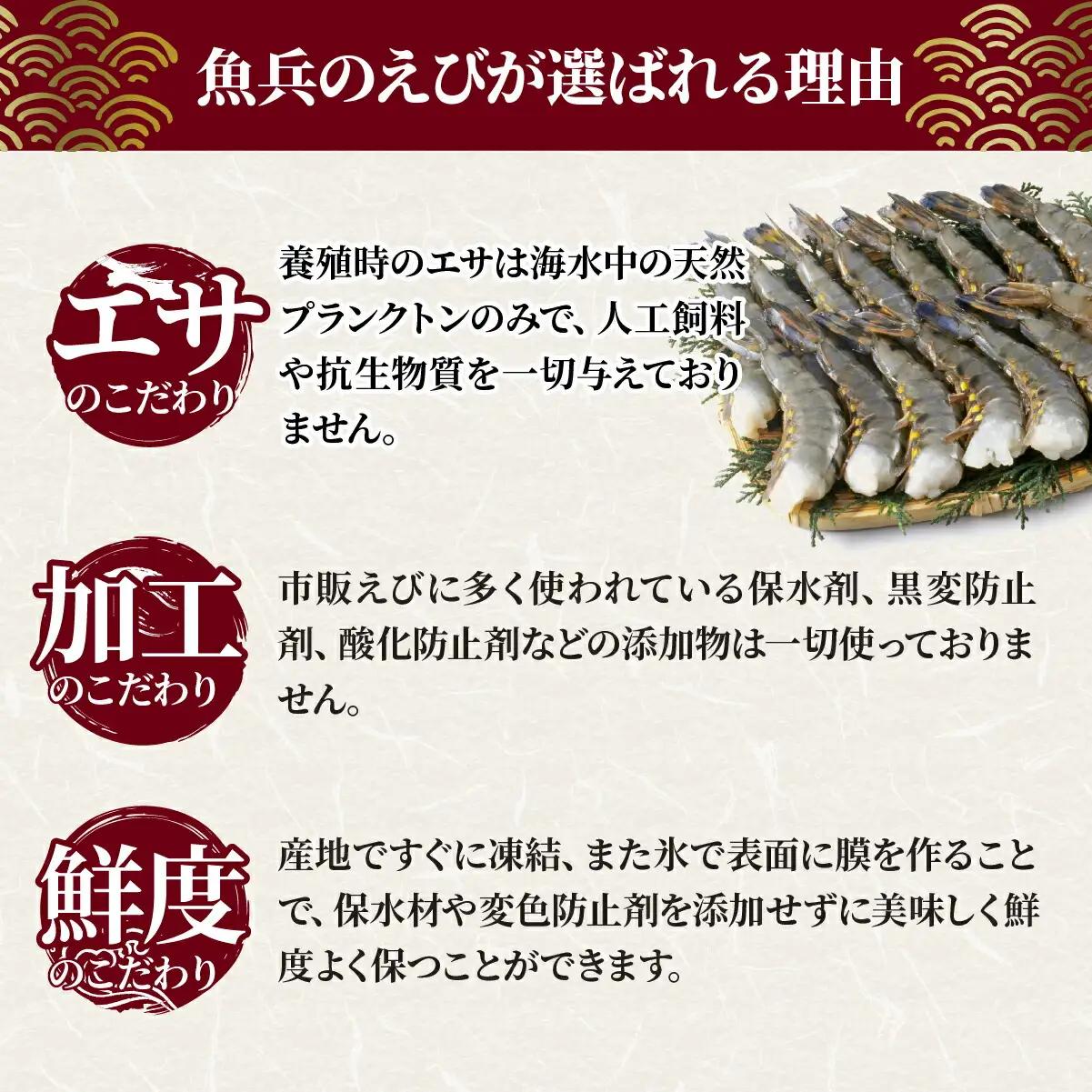 ブラックタイガー海老 魚兵水産こだわり 10尾3パック | エビ えび 茨城県ひたちなか市