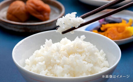 【特Aランク受賞実績あり！】はるみ 20kg(10kg×2袋)【遠藤ファーム】開成町 米 ご飯 白米 お米 特A[BDAF003]