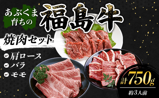 あぶくま育ちの福島牛の焼肉セット 750g (約3人前） 福島県 伊達市 牛肉 黒毛和牛 和牛 国産 F21C-440