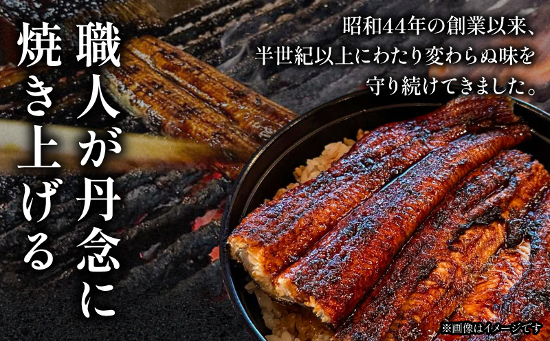 一力のうなぎ蒲焼 約140g×2尾 鰻 冷凍 老舗_M391-001