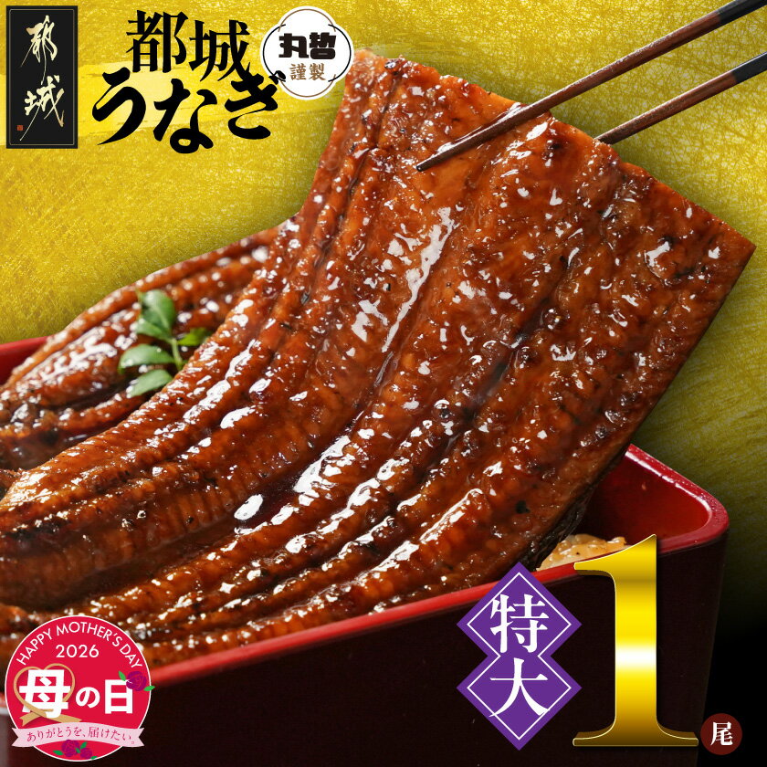 【ふるさと納税】【母の日】宮崎県育ちの【特大】うなぎ蒲焼1尾210g以上≪山椒・たれ付≫≪5月7日〜10日お届け≫ - 特大うなぎ蒲焼 有頭 宮崎県産 1尾 鰻 国産 真空 母の日 ギフト プレゼント 贈答用 送料無料 11-M301-MG【宮崎県都城市は2年連続ふるさと納税日本一！】