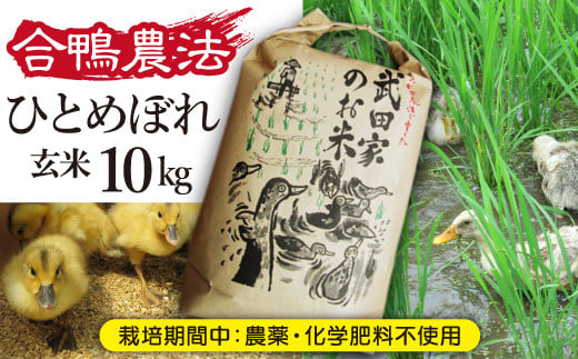 
            《令和６年産》武田家のお米 ひとめぼれ（玄米）10kg＜合鴨農法＞【米農家 仁左ェ門】 / 米 ５キロ ２袋 アイガモ
          