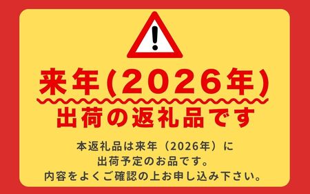 山梨県産 桃  5～8玉 約2kg 規格箱入り  桃桃桃【tab0182】