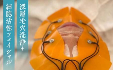 深層毛穴洗浄＋細胞活性フェイシャル＆ハンドマッサージ　リフレッシュコース ／ チケット 体験 エステ【tricca Balcony Hayama】[ASBN001]