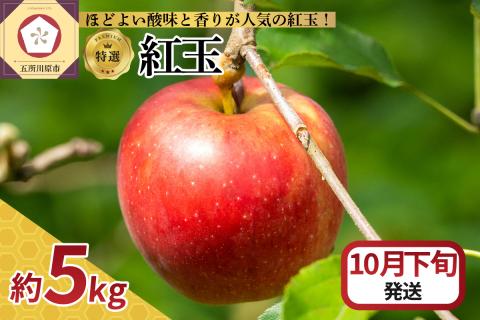 【2025年10月下旬発送】 【特選】りんご 5kg 紅玉 青森