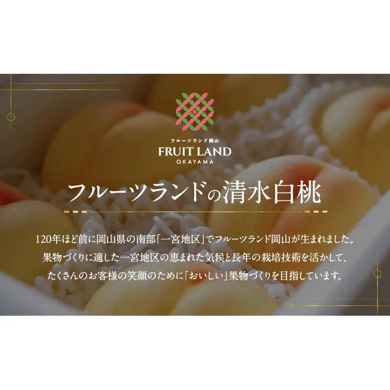 桃 2026年 先行予約 清水白桃 5玉 合計約1.3kg もも モモ 岡山県産 国産 フルーツ 果物 ギフト