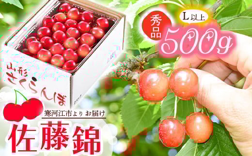 《先行予約》 令和8年産 山形の さくらんぼ  「 佐藤錦 」 500g 秀品 L以上 山形県産 2026年産【2026年6月上旬頃～6月下旬頃発送予定】 ※配送不可 沖縄・離島 021-A-JA043
