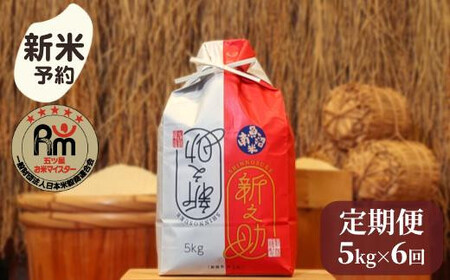【新米予約】令和７年産「五つ星お米マイスター」の南魚沼産新之助　精米５kg×6回（毎月定期便）【2025年10月下旬より順次発送予定】