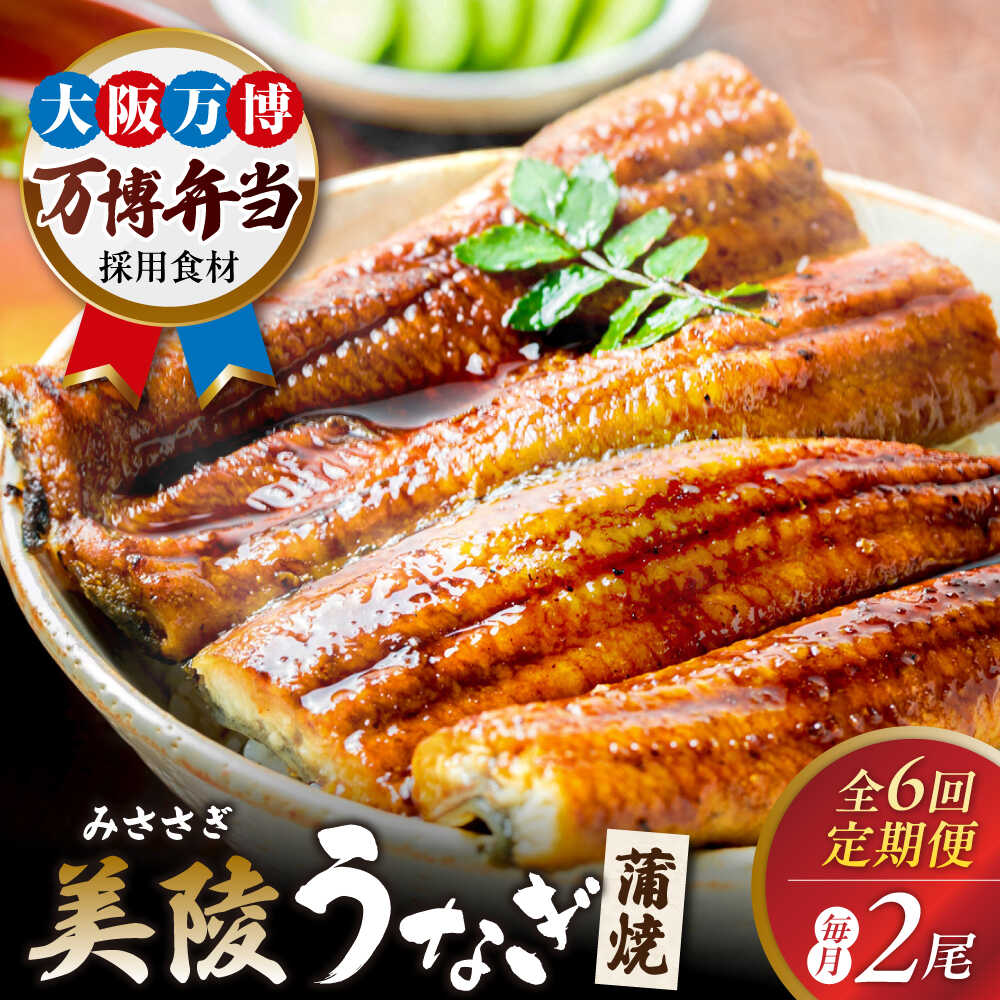 【ふるさと納税】【全6回定期便】鰻 鰻の蒲焼 2尾 / 美陵鰻 うなぎ ウナギ 蒲焼き かば焼き かばやき 白焼き 白焼 しろやき しらやき 特大 肉厚 うな重 うな丼 惣菜 ギフト プレゼント 贈答 国産 / 大阪府藤井寺市/Giverichホールディングス株式会社[BLAM008]