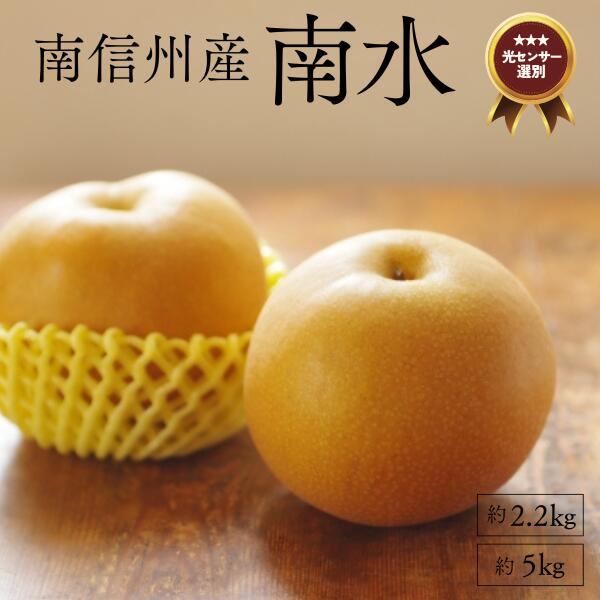 【ふるさと納税】梨 南水 約2kg or 約5kg／9月中旬頃～配送予定 糖度センサー選別 // 和梨 糖度センサー選別 厳選 南信州 長野県 和梨 なし ナシ 新鮮 厳選 贈答 贈答用 甘い 2キロ 5キロ JA09 JA29