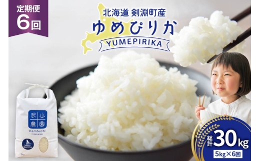 米 令和8年 6回 定期便 ゆめぴりか 5kg [武山農園 北海道剣淵町 14656445 ] 令和8年産 白米 精米 新米 ご飯 ごはん コメ こめ 国産 10キロ 定期