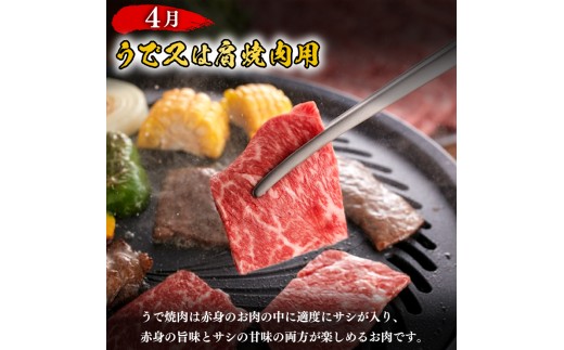 【定期便4回】【限定100食】 黒毛和牛 豪華満喫定期便 計1.7kg やまぐち和牛燦(きらめき) 【 肉 牛肉 国産 和牛 ブランド和牛 赤身 もも 肩 ロース スライス 焼肉用 希少部位 ステーキ