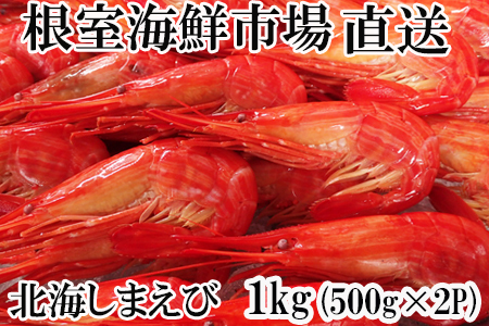 北海しまえび500g×2P B-14120
