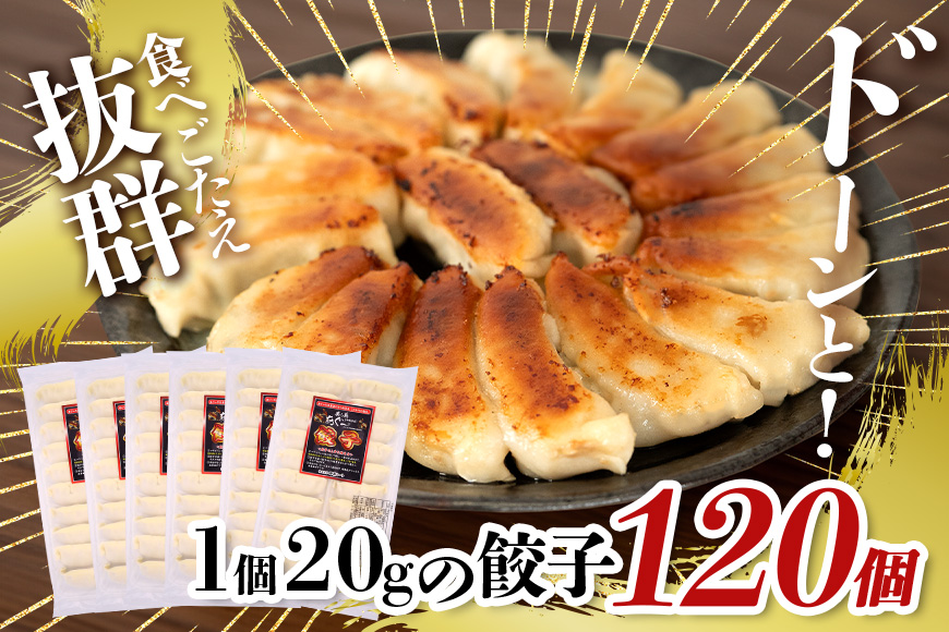 美ら島あぐー餃子 120個セット 20個入×6パック 絶品 こだわり 豚 肉 国産 ごはん おかず お弁当 冷凍 ぎょうざ ギョウザ 小分け BBQ ギョーザ 惣菜 晩酌 ギフト 手作り 生餃子 豚肉