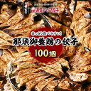 【ふるさと納税】宇都宮餃子 那須御養鶏の餃子 100個 保存料不使用【ぎょうざ ギョウザ ギョーザ 冷凍食品 冷凍餃子 惣菜 夜ご飯 おかず おつまみ 手軽 時短 お取り寄せ グルメ 送料無料 栃木県 宇都宮市】※配送不可地域：離島