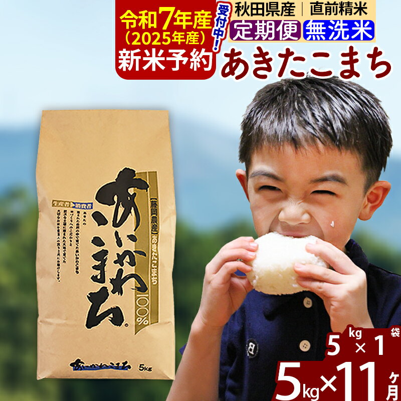 【ふるさと納税】※令和7年産 新米予約※《定期便11ヶ月》秋田県産 あきたこまち 5kg【無洗米】(5kg小分け袋) 2025年産 お届け周期調整可能 隔月に調整OK お米 藤岡農産