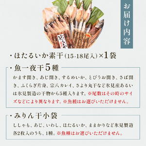 氷見 堀与 一夜干5種とみりん干とほたるいかの素干 富山県 氷見市 干物 詰め合わせ 食べ比べ セット 味醂干し ホタルイカ