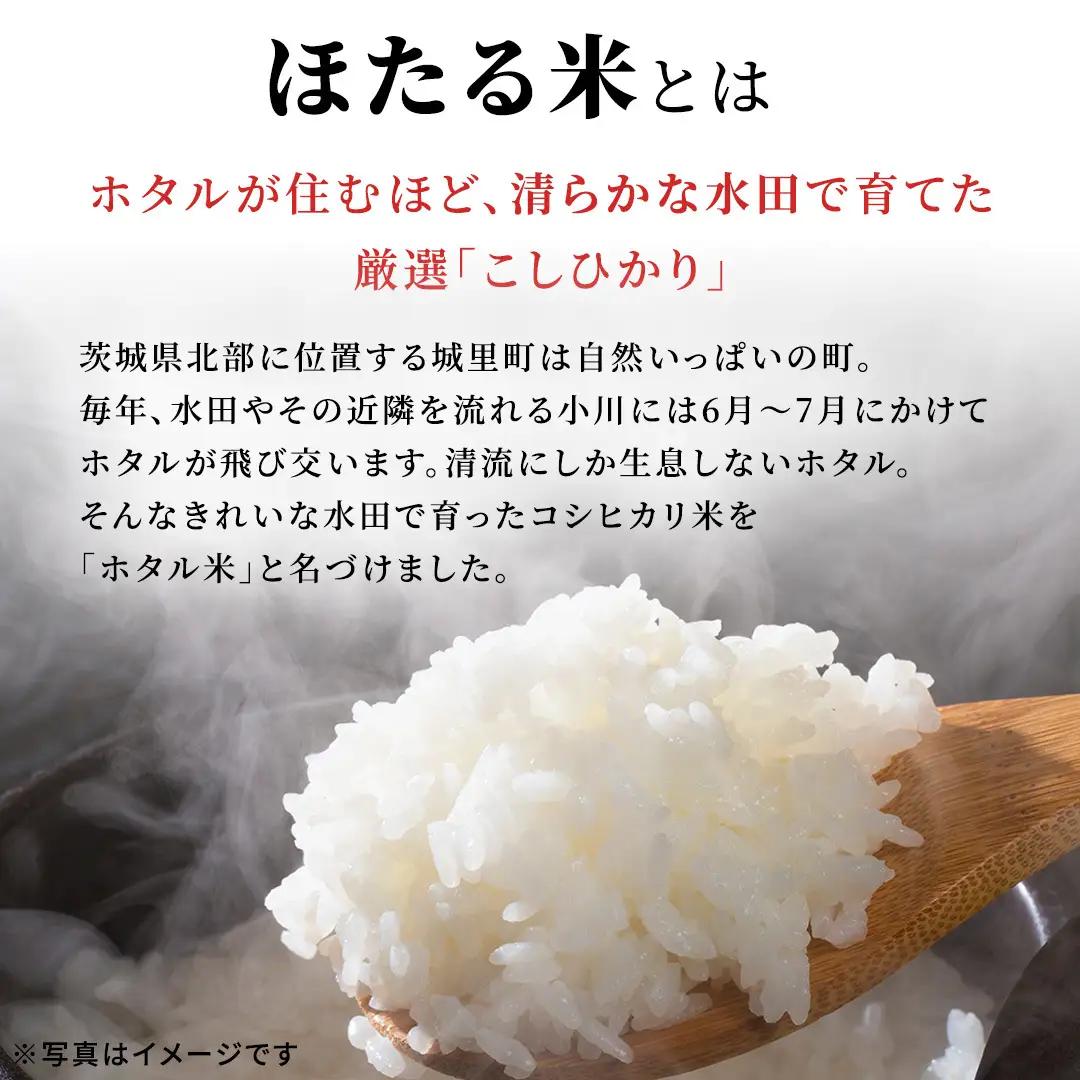 ≪新米≫【無洗米】コシヒカリ ホタル米 20kg スピード発送 令和8年産 (AX087)