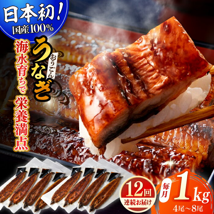 【ふるさと納税】【全12回定期便】【着日指定 可能】【日本初！海水で養殖】長崎県産おうごん うなぎ 松セット 約1kg（4尾〜8尾） 平戸市 / 松永水産 うなぎ 鰻 ウナギ 土用丑の日 九州産 蒲焼 かばやき[KAB287]